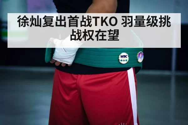 boxing championship belt